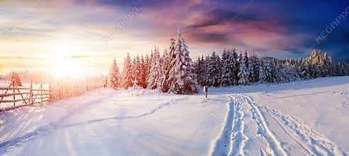 The winter road