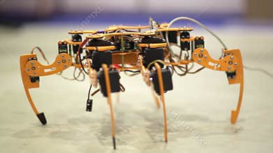 Robot Spider demonstrates possibilities of modern robotics