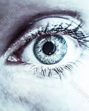 Eyes like a mirror