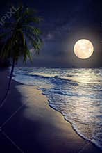 Beautiful fantasy tropical beach with Milky Way star in night skies