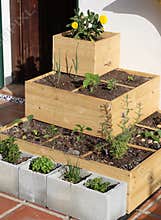 Urban gardening