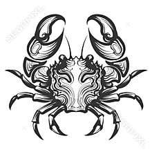 Crab engraving illustration