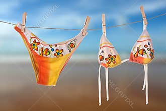 Female beach bikini drying in the sun