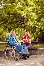 Young carer woman reading book in the park disabled man in wheel