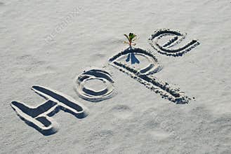 The word Hope written in the sand