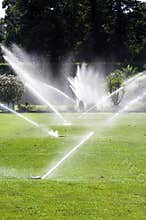 Water sprinklers