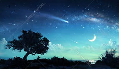 Shooting Stars In Fantasy Landscape