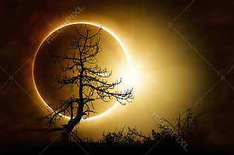 Total solar eclipse in dark sky