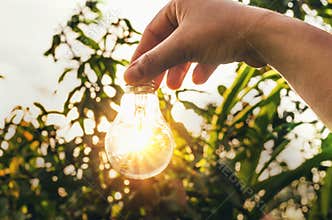 concept light bulb with sunset and saving power energy