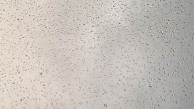 Rain droplets on window or glass.