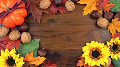 Autumn Fall overhead