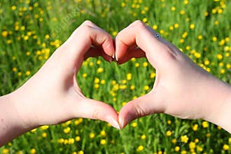 Loving nature