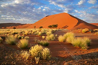 Grass, dune and sky, Sossusvlei, Namibia