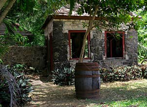 Rum Barrel and Tropical Ruins
