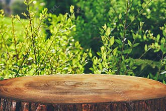 image of wooden table in front green forest trees landscape background. for product display and presentation