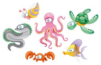 Family of marine animals