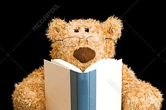 Teddy bear reading