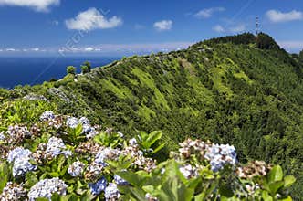 Pico da Barrosa, Sao Miguel, Azores Islands.