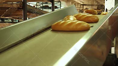 Baked loaf of bread in the bakery