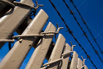 Barbed wire fence