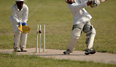 English Cricket Match
