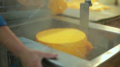 Cheese packaging process. Production food. Cheese factory manufacturing process