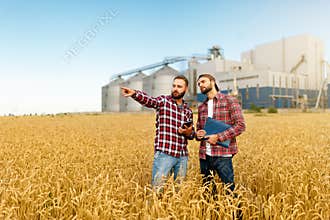 Smart farming using modern technologies in agriculture. Man agronomist farmer with digital tablet computer in wheat