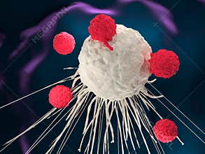 CAR-T cell therapy