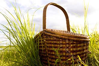 Picnic