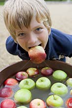 Young boy bobbing for apples
