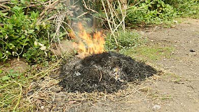 Burning of yard waste, such as leaves, grass , and  other natural vegetation 