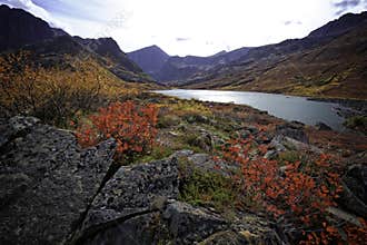 Alaskan Back Country Lake