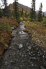 An Alaskan Creek in the fall.