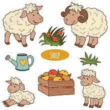 Set of cute farm animals and objects, vector family sheep