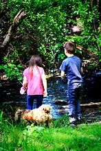 Kids Stream Doggie