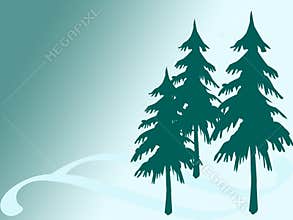 Pine tree