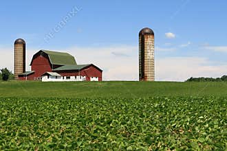 American Farm