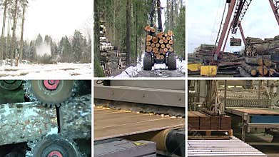 Timber and lumber industry. Parquet board production. Collage.