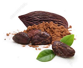 Cacao beans and powder isolated