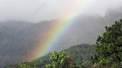 Real rainbow on tropical forest