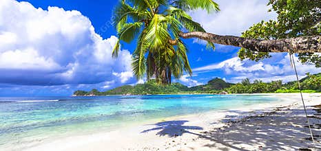 Seychelles island. beaches of Mahe
