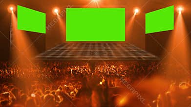 Crowd Concert stage light