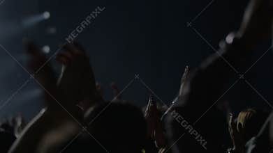 Excited audience on musical festival