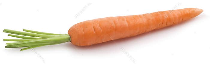 Carrot