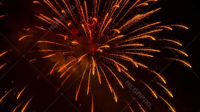 Amazing Golden Rain Fireworks On Black Sky