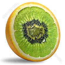 GMO Concept.