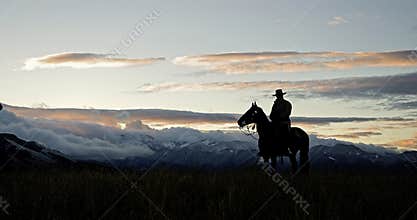 Cowboy silhouette