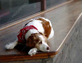 All alone
