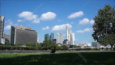 Timelapse City Skyline at Frankfurt