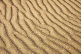 Gold desert Sand texture.